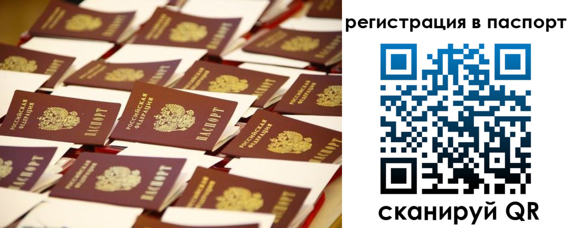 прописка гарантия в Опочке